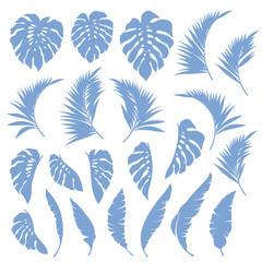 Fototapeta na wymiar Beautiful tropical plant background illustration material,