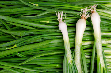 Background green onion leaves.