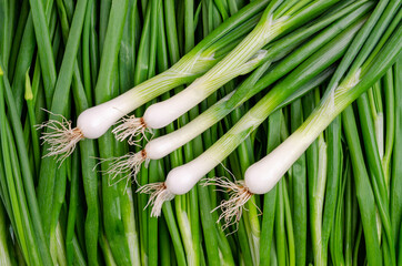 Background green onion leaves.