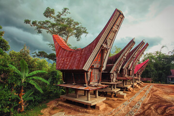 Tongkonan traditional rice barns in village. Tana Toraja, Sulawesi. Indonesia 