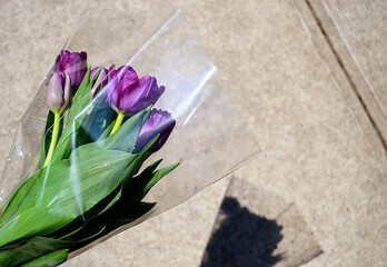 purple tulips in the air above shadow