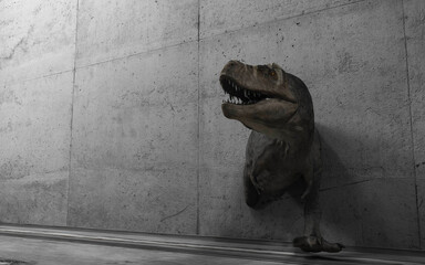T rex wall