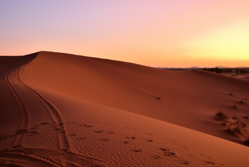 Fototapeta na wymiar サハラ砂漠の夕景