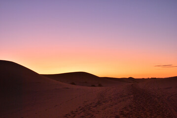 Fototapeta na wymiar サハラ砂漠の夕景