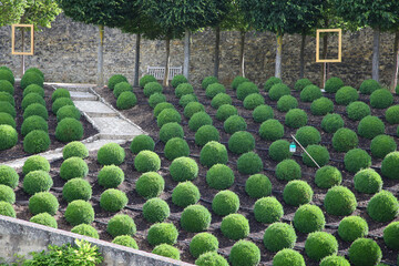 Gardens in castle grounds in Amboise, Loire Valley France with amazing topiary shrubs and hedges