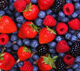 Fototapeta premium berries