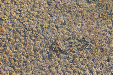 Fantastic views of the Gold Coast Hinterland at dawn with paddocks, trees and mist