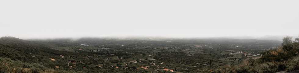 misty morning in the field
