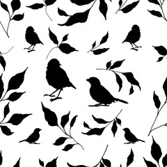 Birds and twigs, leaves