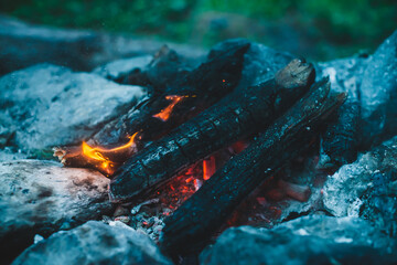 Vivid smoldered firewoods burned in fire close-up. Atmospheric warm background with orange flame of...