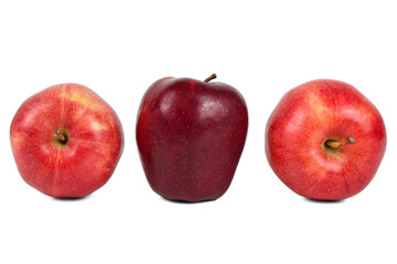 The dark red apple stand between fallen apples isolated on white background. The difference is the survivor concept.