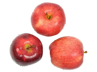 Three wet red apple isolated on white background. 