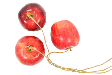 Three apples that are tied with rope that weave together isolated on white background.