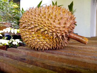 Durian, the king of Thai fruits on a wooden table.