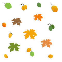 Set of autumn leaves. Isolated elements. Vector