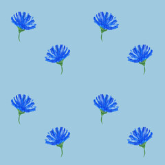 Blue small flowers of chicory and cornflowers are drawn in gouache. Simple seamless floral pattern. Fashionable Milflers. Elegant template for fashionable prints, textiles, wallpapers, patterns, cover