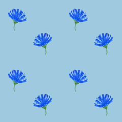 Blue small flowers of chicory and cornflowers are drawn in gouache. Simple seamless floral pattern. Fashionable Milflers. Elegant template for fashionable prints, textiles, wallpapers, patterns, cover