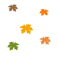 Set of autumn leaves. Isolated elements. Vector