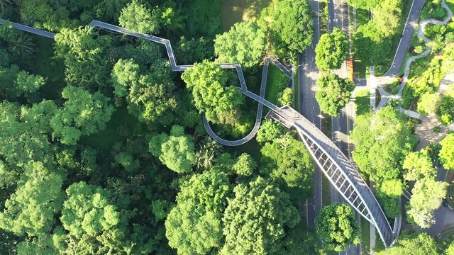 Singapore May 26/2019 early morning at Southern Ridges walking path connecting to many parks with bridges, wildlife & city views 