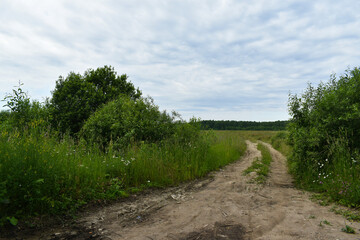 dirt road in the field