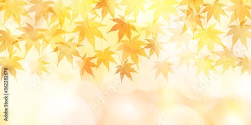 紅葉 もみじ 秋 背景 Wall Mural Wallpaper Murals J Boy 紅葉 もみじ 秋 背景 Wall Mural Wallpaper Murals J Boy