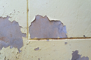 The house wall has stains and discoloration.