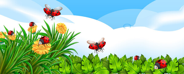 Blank scene with ladybugs in the garden with some flowers at daytime © blueringmedia
