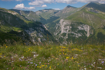 Summer view of mount Sibilla with yellow wild flowers in the national park of monti Sibillini, Marche, Italy