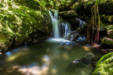 small waterfall in the forest