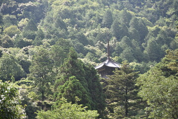 日本の岡山県備前市で見つけた古くて美しい建物