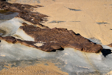 Weathered Rocks on the Rock Platform at Burwood Beach