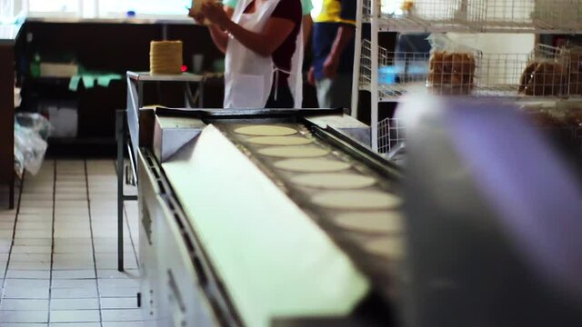Fresh corn tortillas out of the tortilla making machine