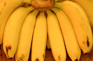 Fresh full grown banana bunch