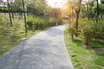 Walkway in a beautiful Park with tree