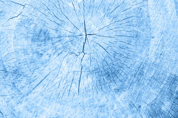 Trendy color 2020 classic blue toned background made of old tree cut with small cracks. Background for text, copy space