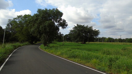 Fototapeta premium road in the countryside