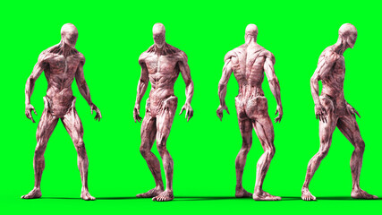 Scary monster isolate on green screen. 3d rendering. © 3D motion