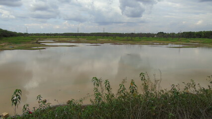 landscape with river