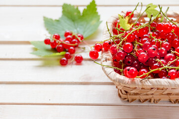 Fresh red currants in bowl on wooden table close up.Ripe large organic red currant in a wicker basket.Summer fresh berries