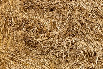 The elements and components of agricultural Background of haystack close up