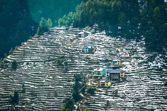 Colorful, vibrant ice patterns on farming fields in the  Himalayan mountains on Trek to Dalhousie, himachal Pradesh India.