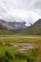 Fototapeta premium View of a lagoon in landscape Huascaran with green nature and snow mountains