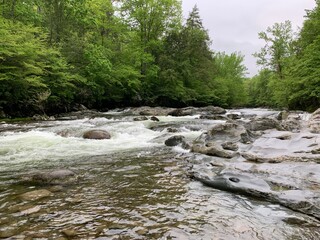 Rapids