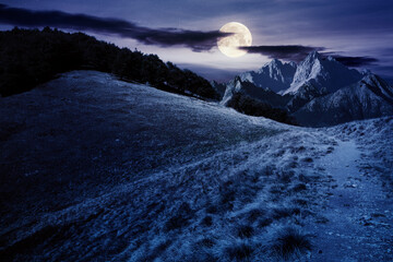 composite mountain landscape at night. path through meadow. distant tatra ridge in full moon light....