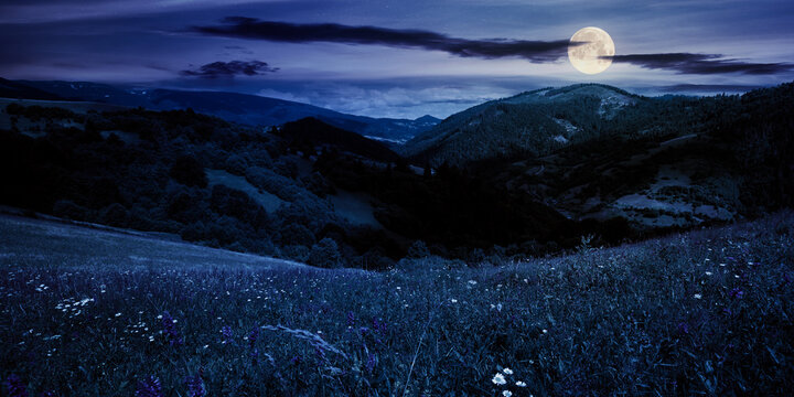 summer landscape in mountains at night. amazing scenery with herbs in fields on rolling hills in full moon light. clouds on the blue sky above the distant ridge
