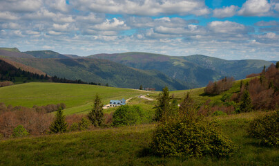 Fototapeta premium Bergwelt der Vogesen im Frühsommer