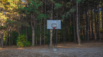 the basketball hoop in the woods 