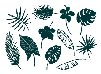 Vector set of tropical leaves and flowers.