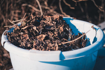 Deep blue basin with dry leaves and grass to clean the area on spring day.