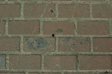 Beautiful background for design, also can be used as texture.